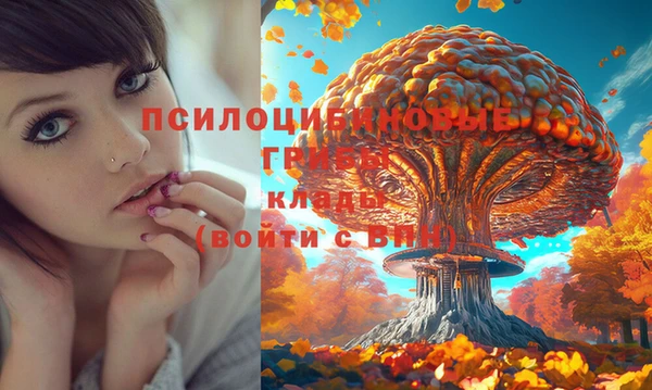 эйфоретик Михайловка