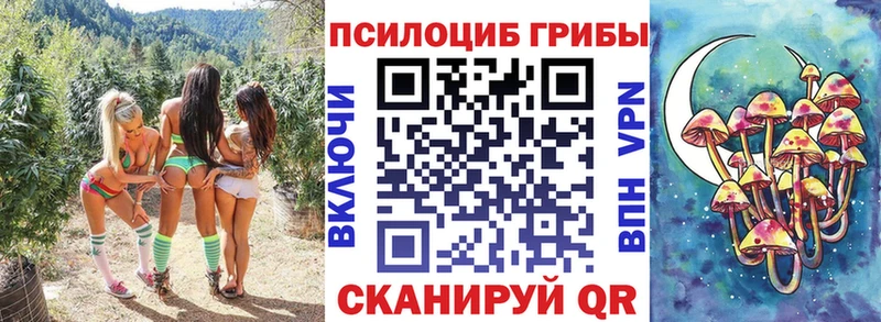 Галлюциногенные грибы прущие грибы  сколько стоит  Змеиногорск 